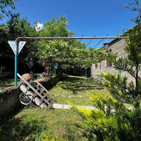 Qilimcha'S Guesthouse-Art Museum Telavi Luaran gambar