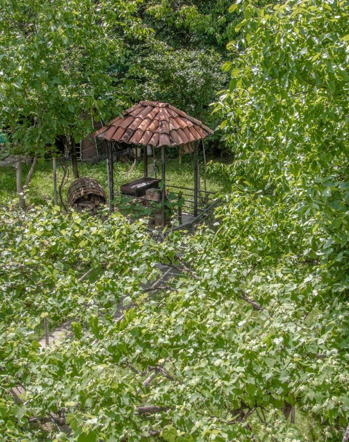 Qilimcha'S Guesthouse-Art Museum Telavi Luaran gambar